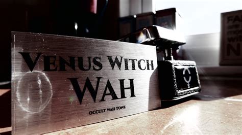 How to Incorporate Venus Witch WQH into Your Daily Routine